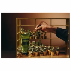 Sale Aesop Coffret Party in the greenhouse Non teinté