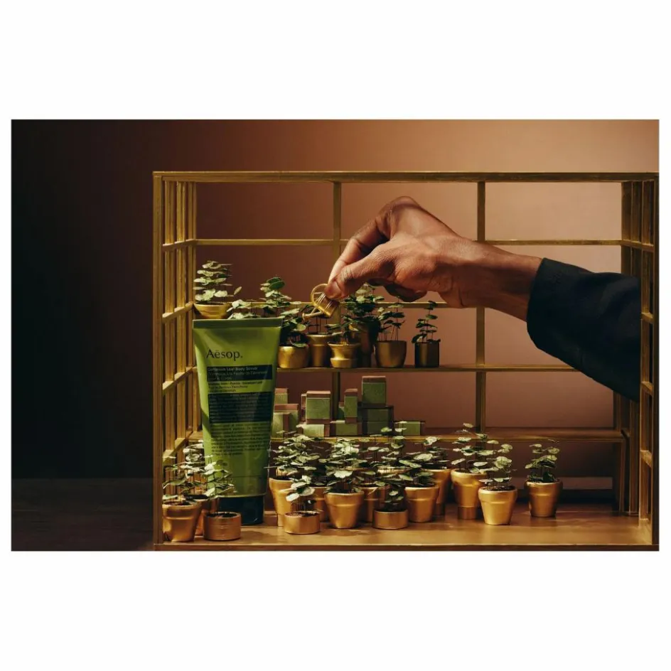 Sale Aesop Coffret Party in the greenhouse Non teinté