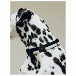 Hay Collier || Accessoires Animaux