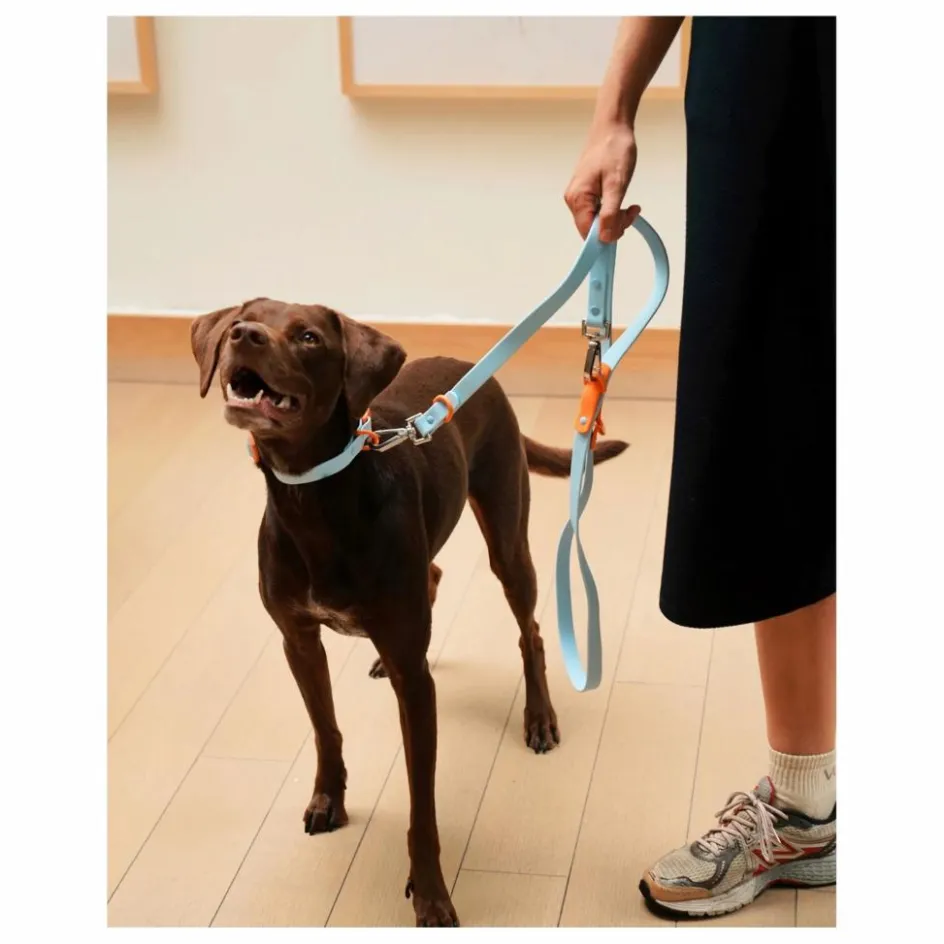 Approved by Fritz Accessoires Animaux*Collier pour chien |