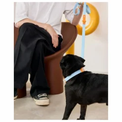 Approved by Fritz Accessoires Animaux*Collier pour chien |