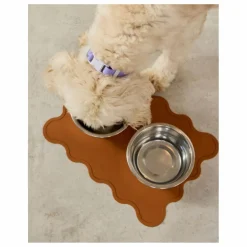 Approved by Fritz Collier pour chien | Lilas| Accessoires Animaux
