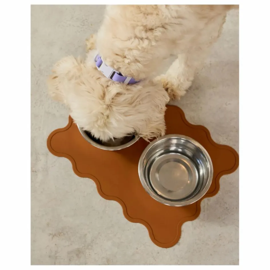Approved by Fritz Collier pour chien | Lilas| Accessoires Animaux