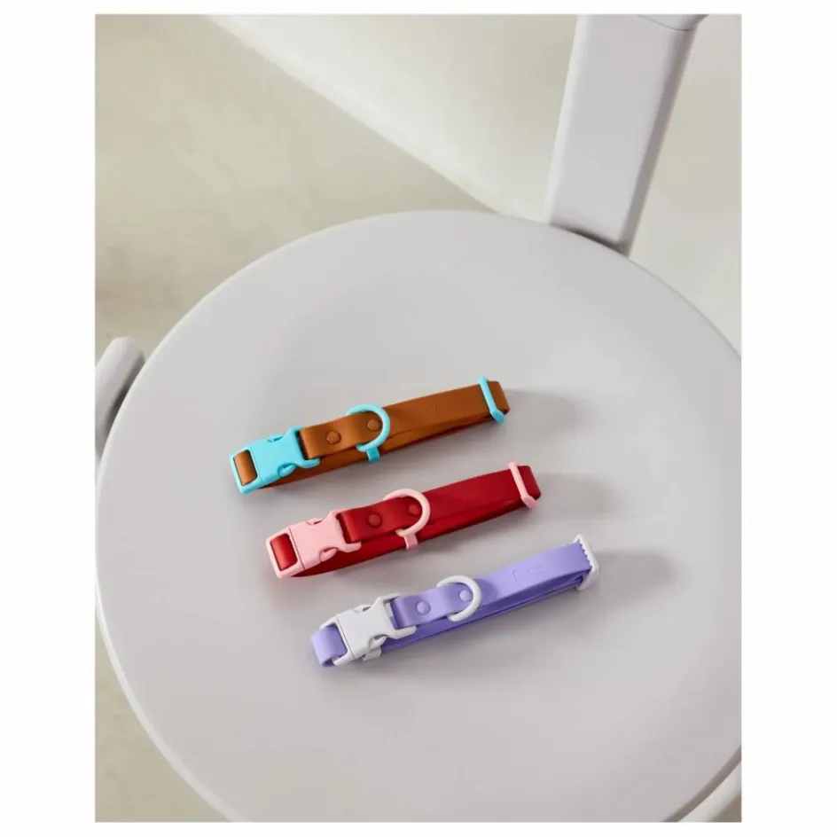 Approved by Fritz Collier pour chien | Lilas| Accessoires Animaux