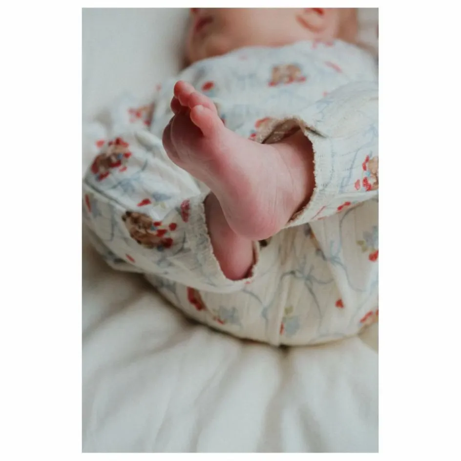 Konges Sløjd Combinaison Minnie Chiens Pointelle Coton Bio || Bodies, Combinaisons|Combinaisons Et Bodies