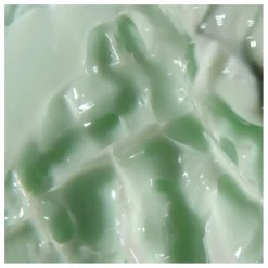 Odacité Crème hydratante désaltérante Green Smoothie - 50 ml Non teinté