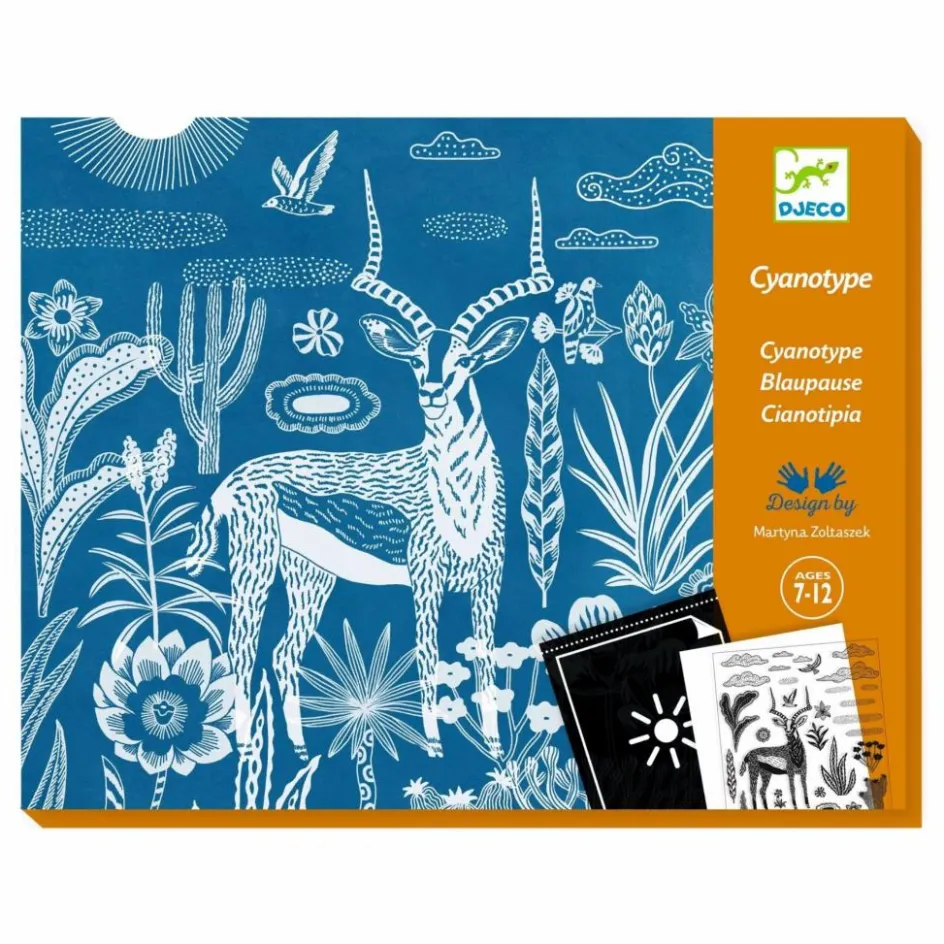 Clearance Cyanotype Savane nocturne Loisirs Créatifs