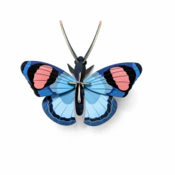 Hot Studio Roof Décoration murale Papillon paon Multicolore