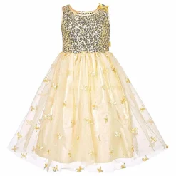 Discount Déguisement Princesse Angélique Déguisements