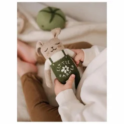 Clearance Main Sauvage Doudou Lapin fermier | Vert