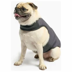 Doudoune réversible | Accessoires Animaux