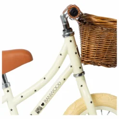 Sale Draisienne 12