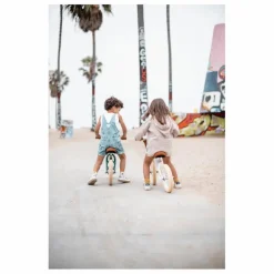 Banwood Draisienne First Go 12