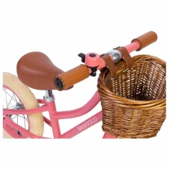 Banwood Draisienne First Go 12