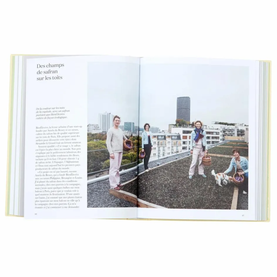 Clearance Gestalten Fermiers urbains - FR Multicolore