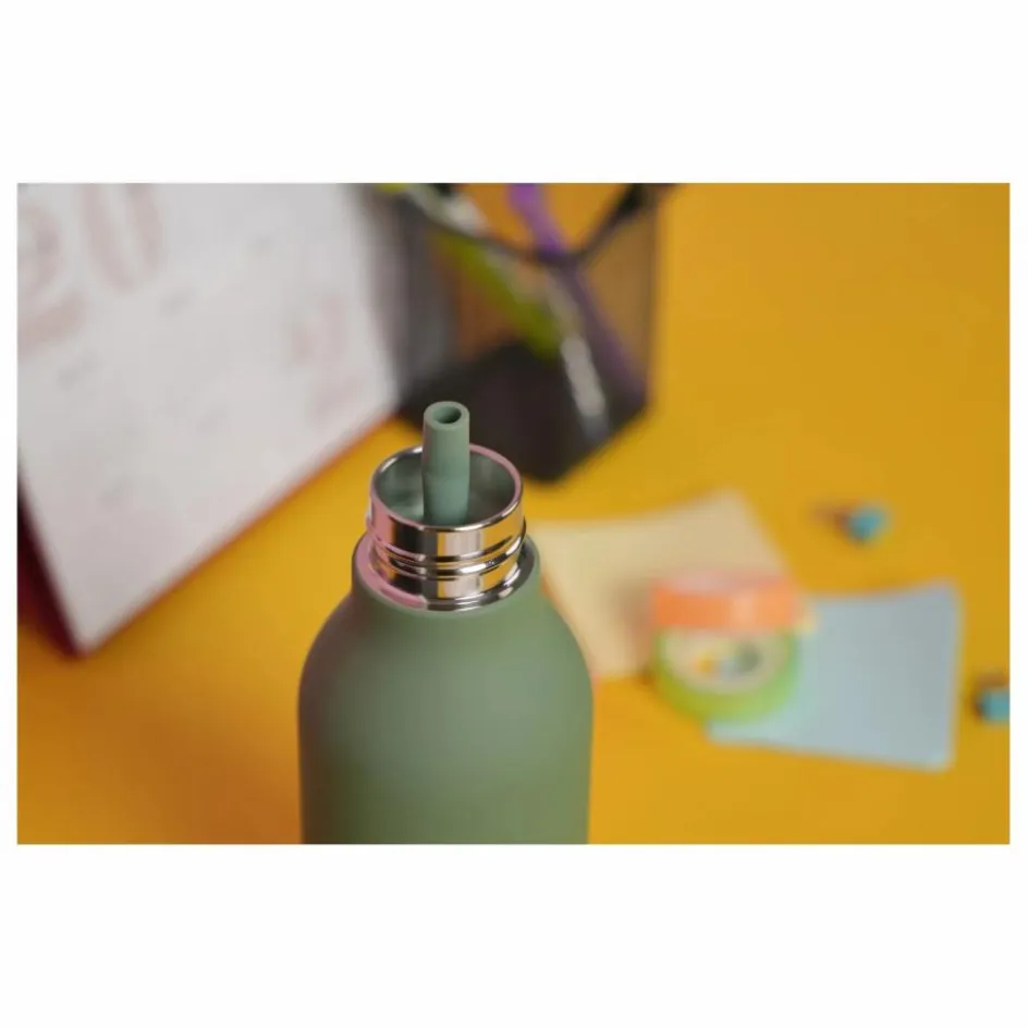 New Asobu Gourde en inox Dinosaure | Vert