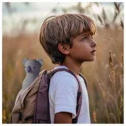 Online Asobu Gourde en inox Koala | Gris