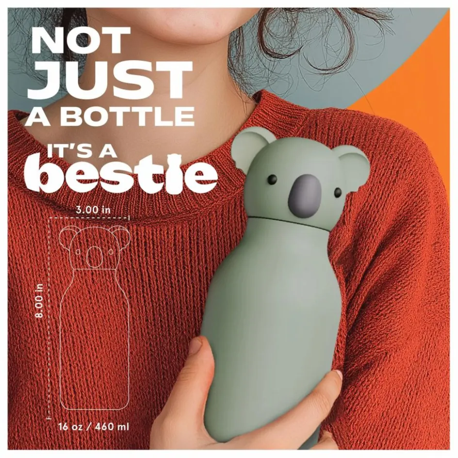 Online Asobu Gourde en inox Koala | Gris