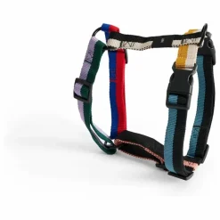 Hot Hay Harnais Multicolore