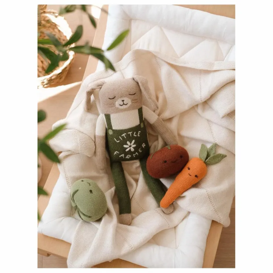 Main Sauvage Hochet Carotte || Jouets D'Éveil|Hochets Et Anneaux De Dentition