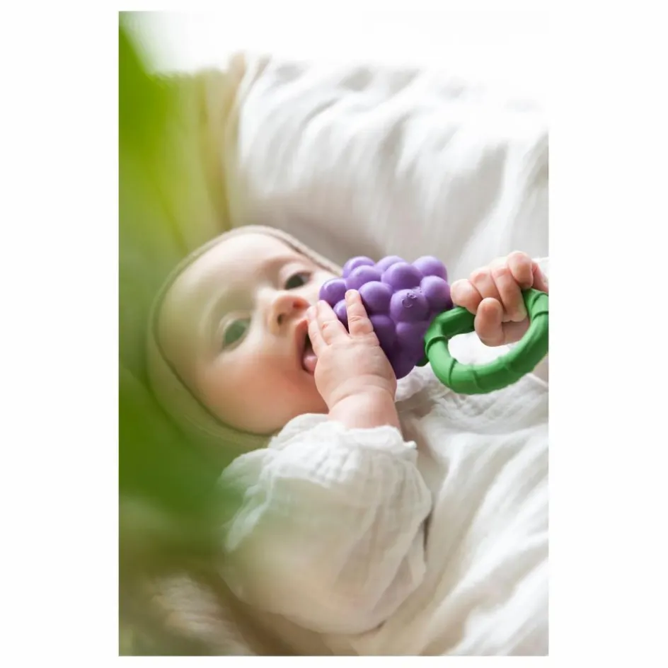 Oli & Carol Hochet Grappe de raisin| Jouets D'Éveil|Hochets Et Anneaux De Dentition