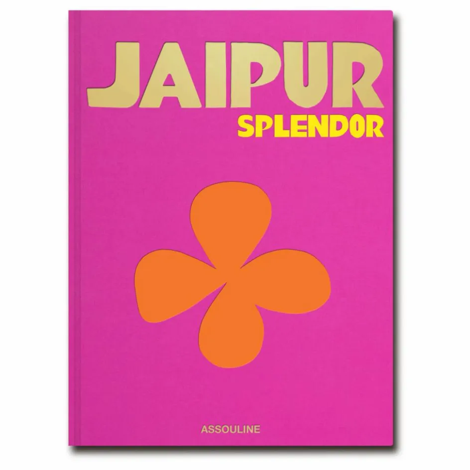 Homme Assouline Livres|Livres, Jeux*Jaipur splendor