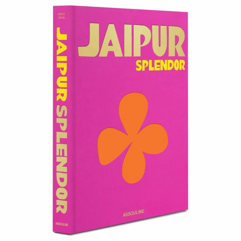 Homme Assouline Livres|Livres, Jeux*Jaipur splendor