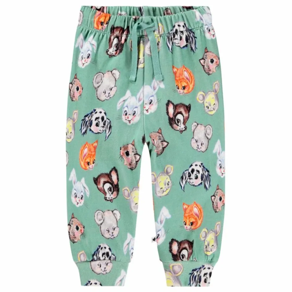Discount Molo Jogger Simeon Itty Bitty Coton Bio | Vert
