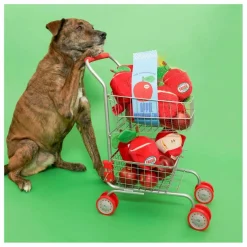 The Furry Folks Jouet de fouille Apple || Accessoires Animaux