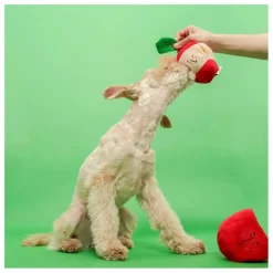 The Furry Folks Jouet de fouille Apple || Accessoires Animaux