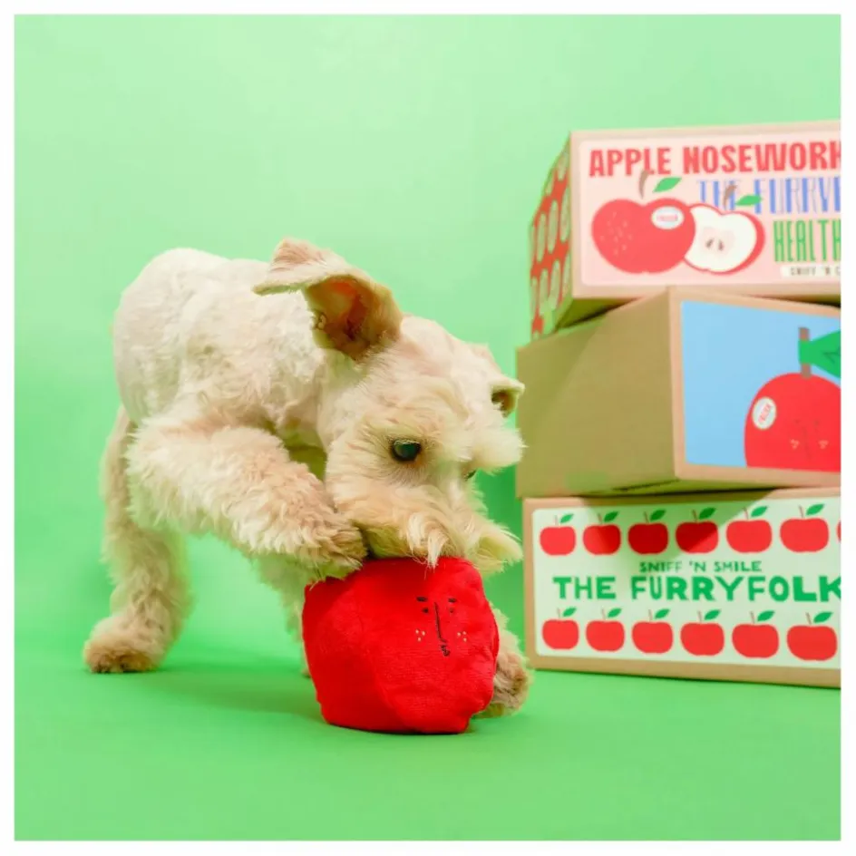 The Furry Folks Jouet de fouille Apple || Accessoires Animaux