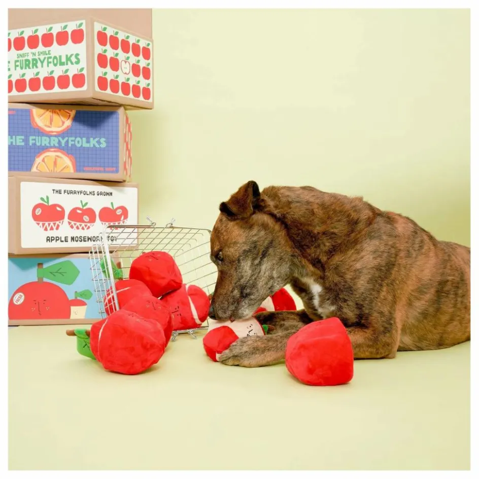 The Furry Folks Jouet de fouille Apple || Accessoires Animaux