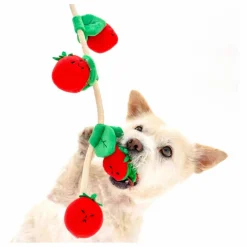 The Furry Folks Jouet de fouille Cherry Tomato || Accessoires Animaux