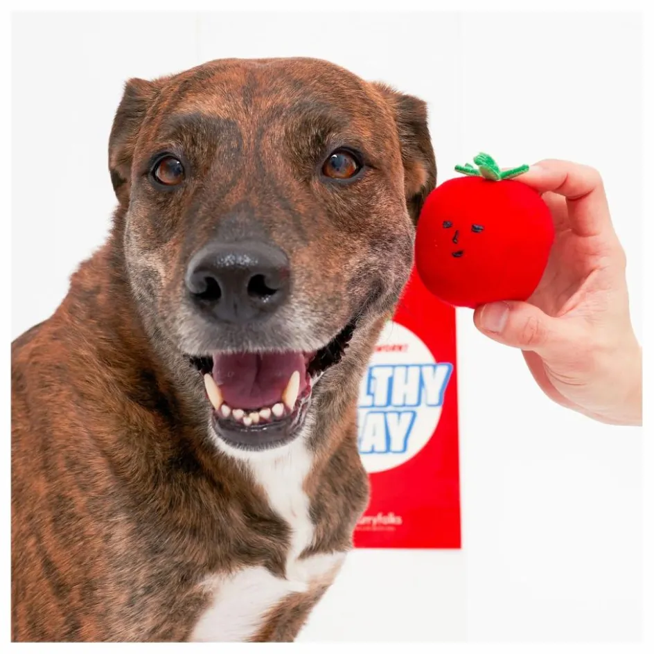 The Furry Folks Jouet de fouille Cherry Tomato || Accessoires Animaux