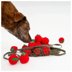 The Furry Folks Jouet de fouille Cherry Tomato || Accessoires Animaux