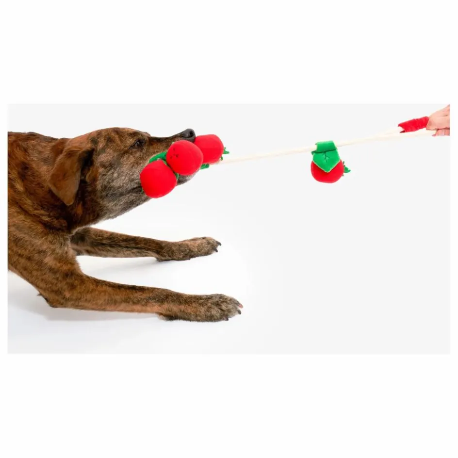 The Furry Folks Jouet de fouille Cherry Tomato || Accessoires Animaux