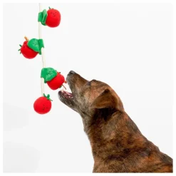 The Furry Folks Jouet de fouille Cherry Tomato || Accessoires Animaux