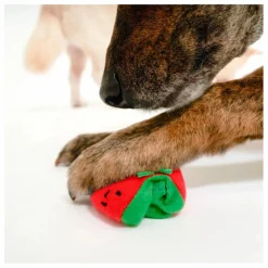 The Furry Folks Jouet de fouille Cherry Tomato || Accessoires Animaux