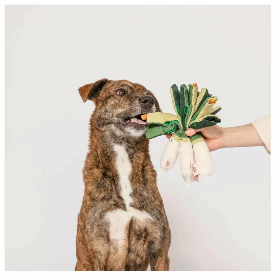 Sale Jouet de fouille Green Onion | Accessoires Animaux