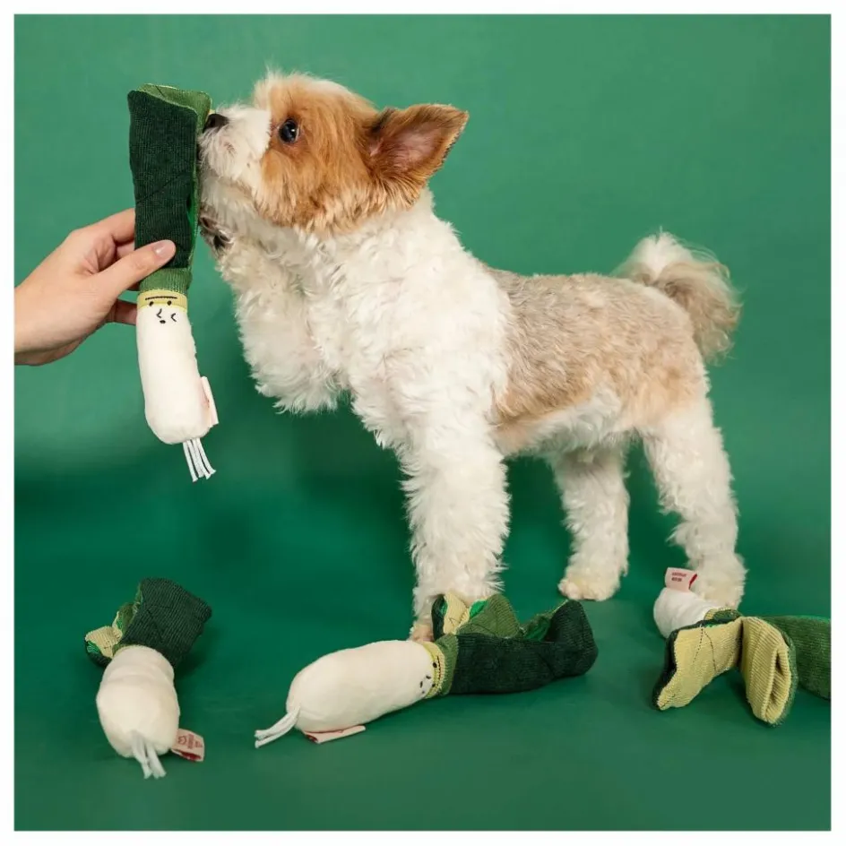 Sale Jouet de fouille Green Onion | Accessoires Animaux
