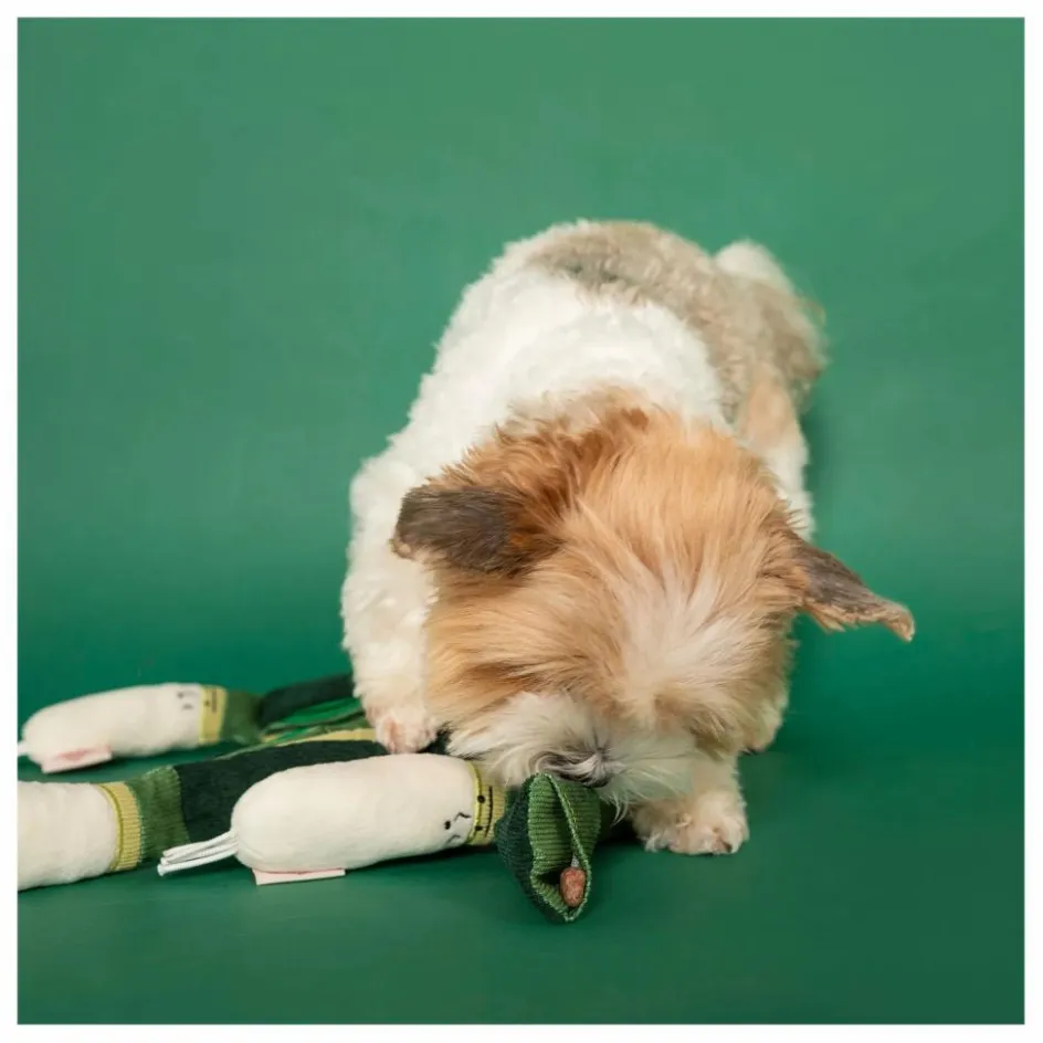 Sale Jouet de fouille Green Onion | Accessoires Animaux