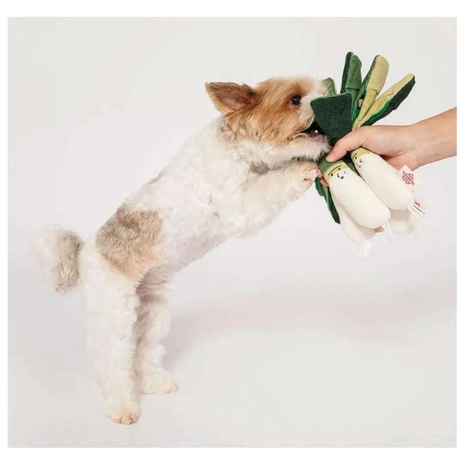 Sale Jouet de fouille Green Onion | Accessoires Animaux