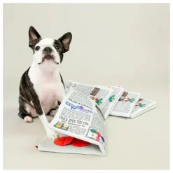 Best The Furry Folks Jouet de fouille Newspapper | Multicolore