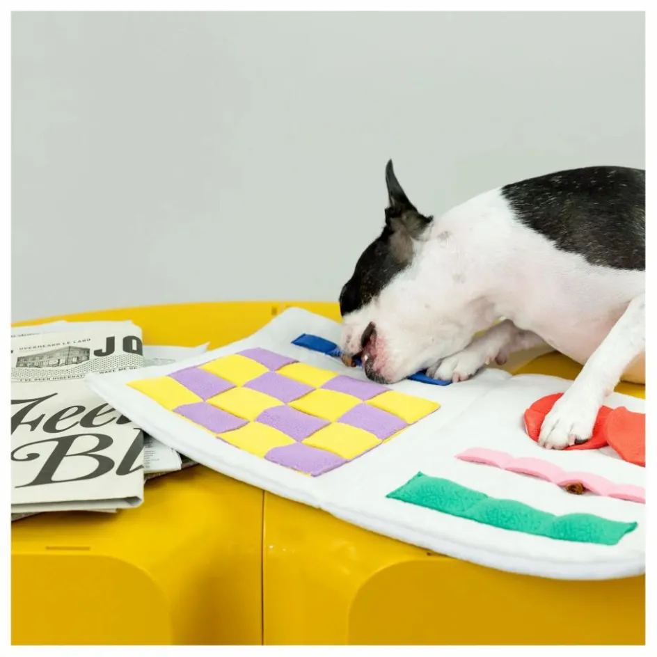 Best The Furry Folks Jouet de fouille Newspapper | Multicolore
