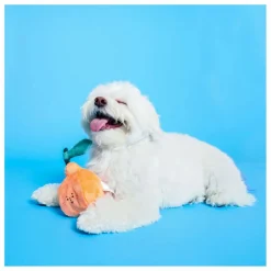 The Furry Folks Accessoires Animaux*Jouet de fouille |
