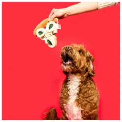The Furry Folks Accessoires Animaux*Jouet de fouille Pizza