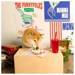 The Furry Folks Accessoires Animaux*Jouet de fouille Pizza