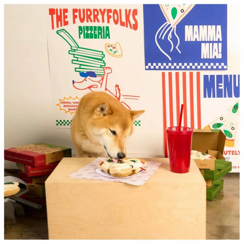 The Furry Folks Accessoires Animaux*Jouet de fouille Pizza