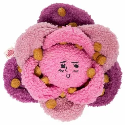 The Furry Folks Jouet de fouille Red Cabbage || Accessoires Animaux