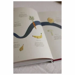 Specialday Premiers Souvenirs|Puériculture*Journal de grossesse My Pregnancy - EN |
